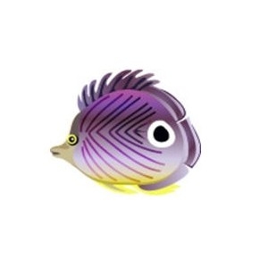 Purple Butterfly Fish